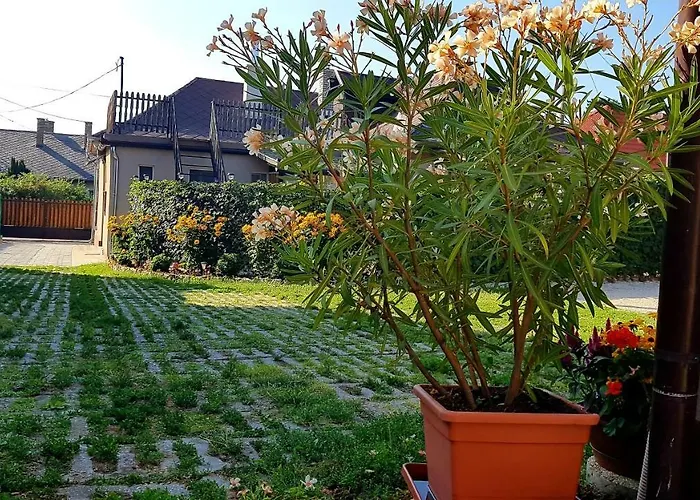 Tini Apartman